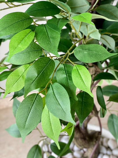Artificial Banyan Plant - 5 Feet