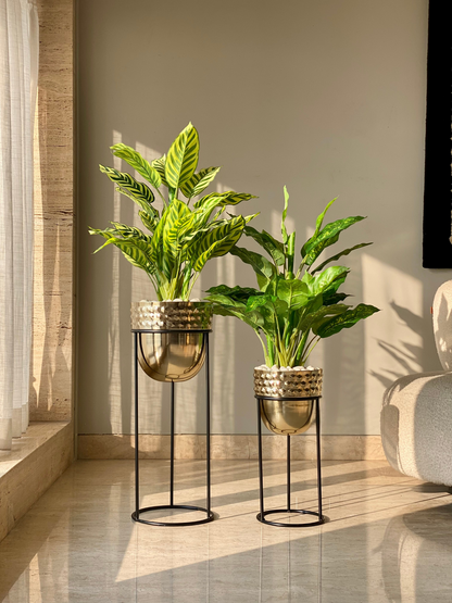 Avalon Gold Planters - Set of 2