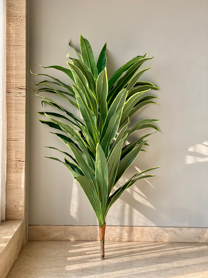 Artificial Variegated Dracaena Plant - 5 Feet