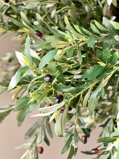 Artificial Olive Plant - 8.5 Feet