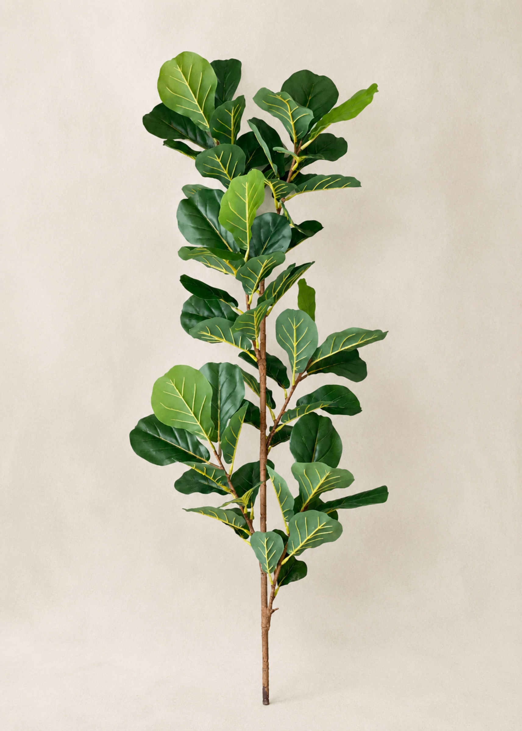 Artificial Fiddle Lyrate Plant - 5.5 Feet
