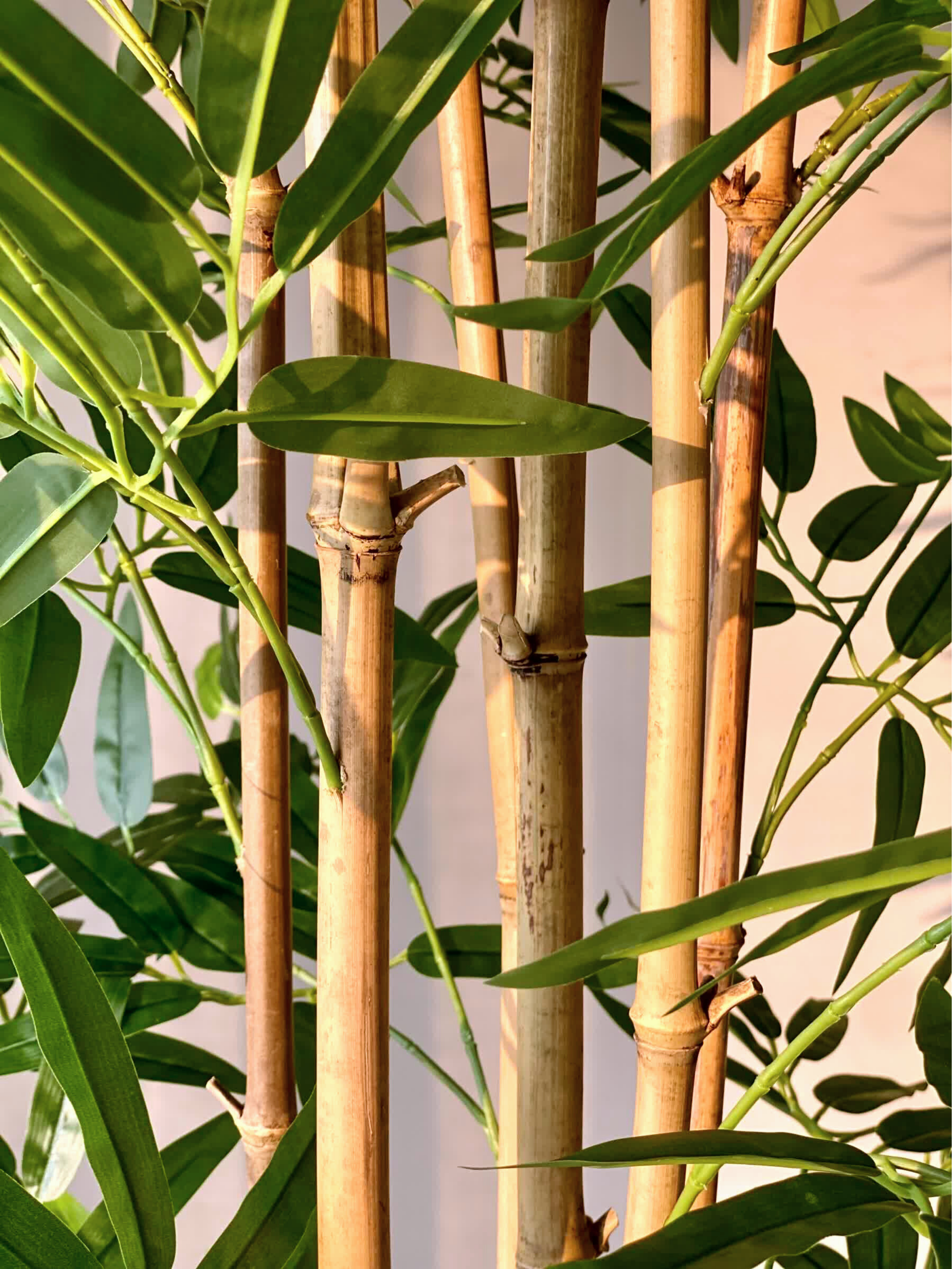 Artificial Bamboo Bliss Plant - 7 Feet