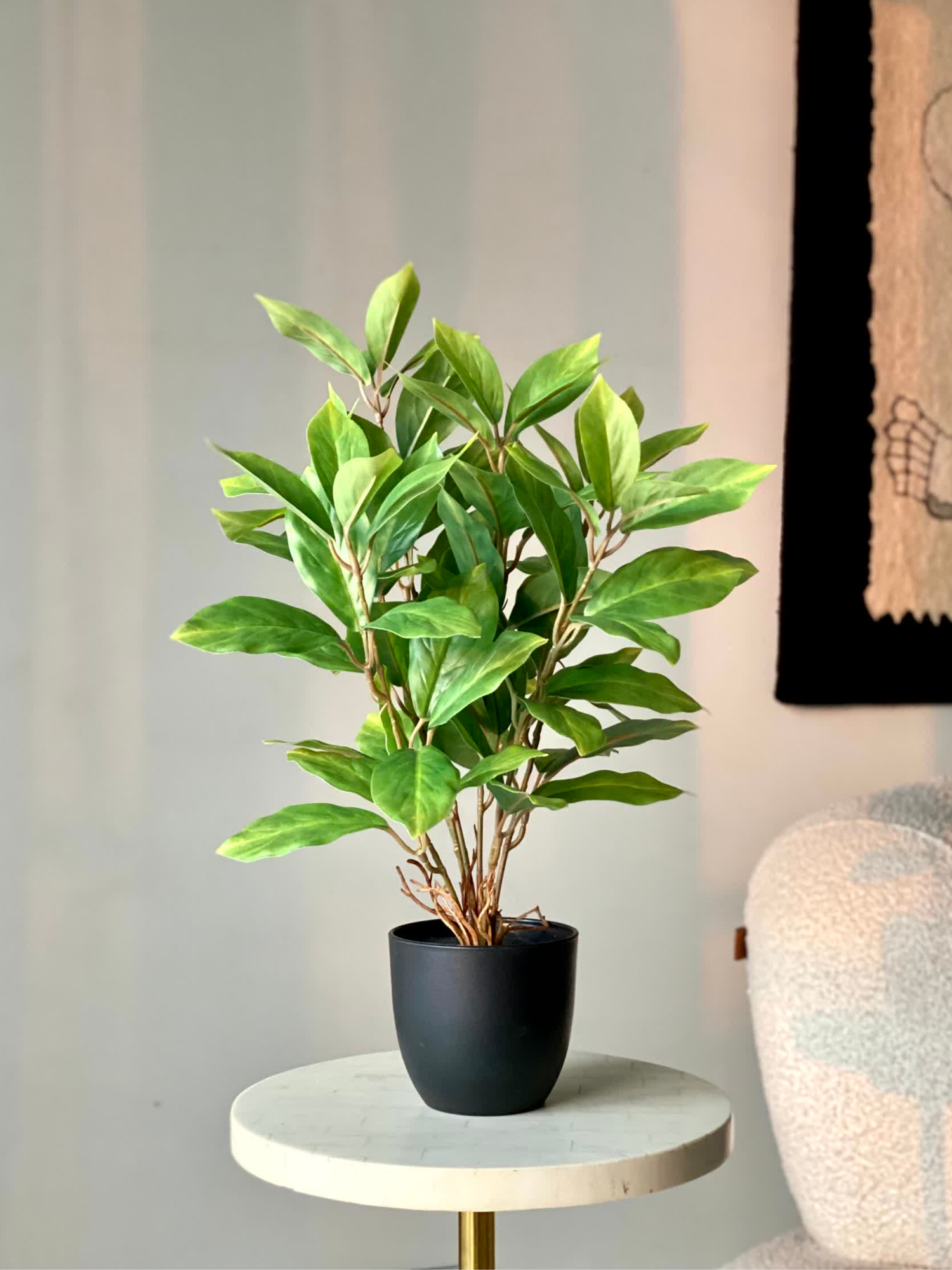 Artificial Jade Evergreen Plant