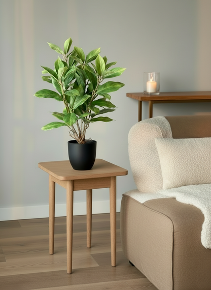 Artificial Jade Evergreen Plant