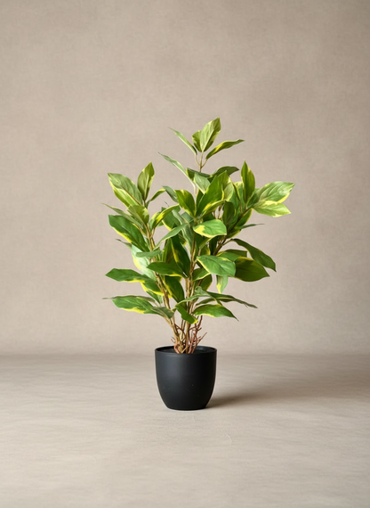 Artificial Evergreen Plant - Variegated