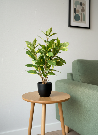 Artificial Evergreen Plant - Variegated