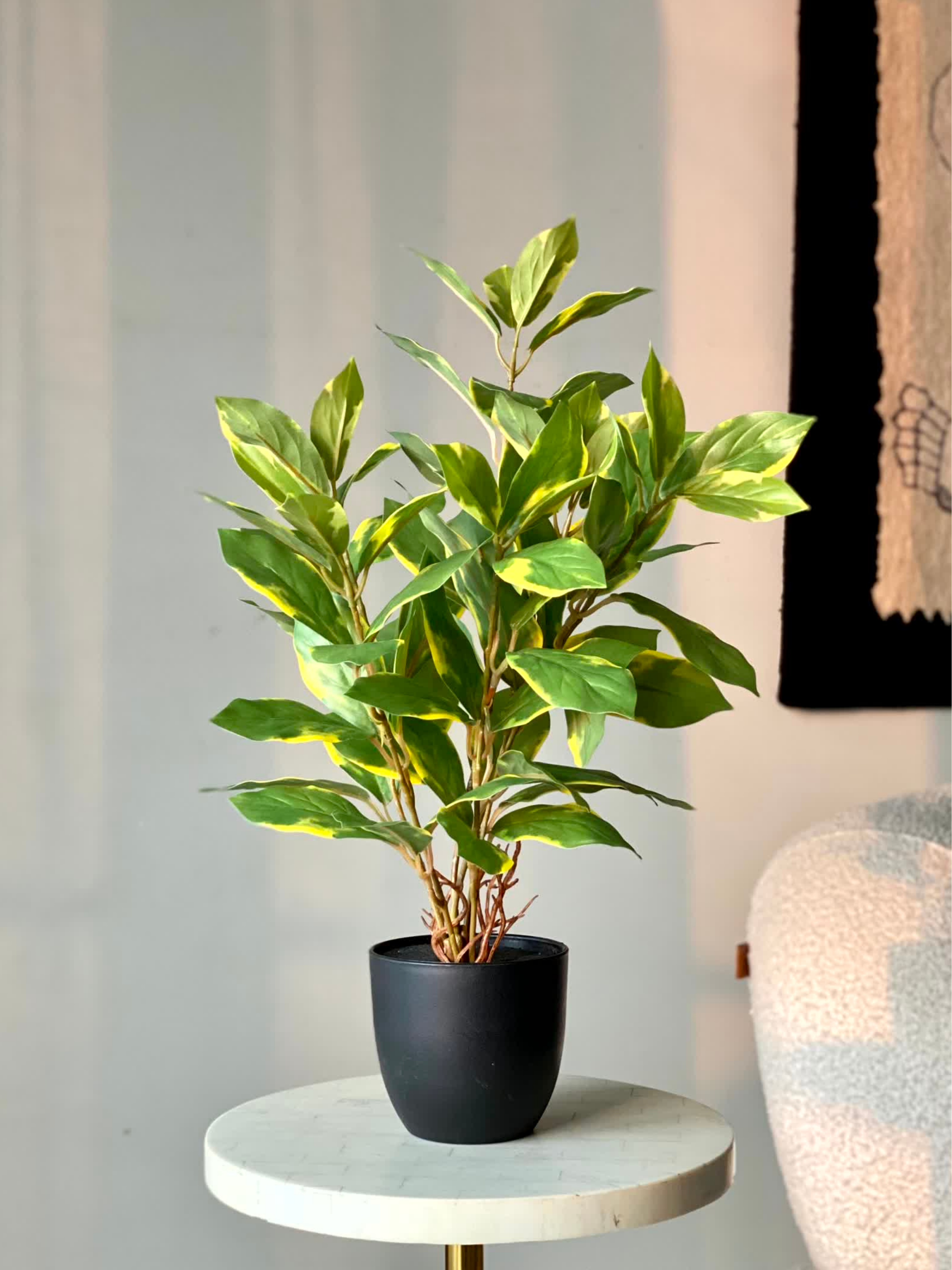 Artificial Evergreen Plant - Variegated