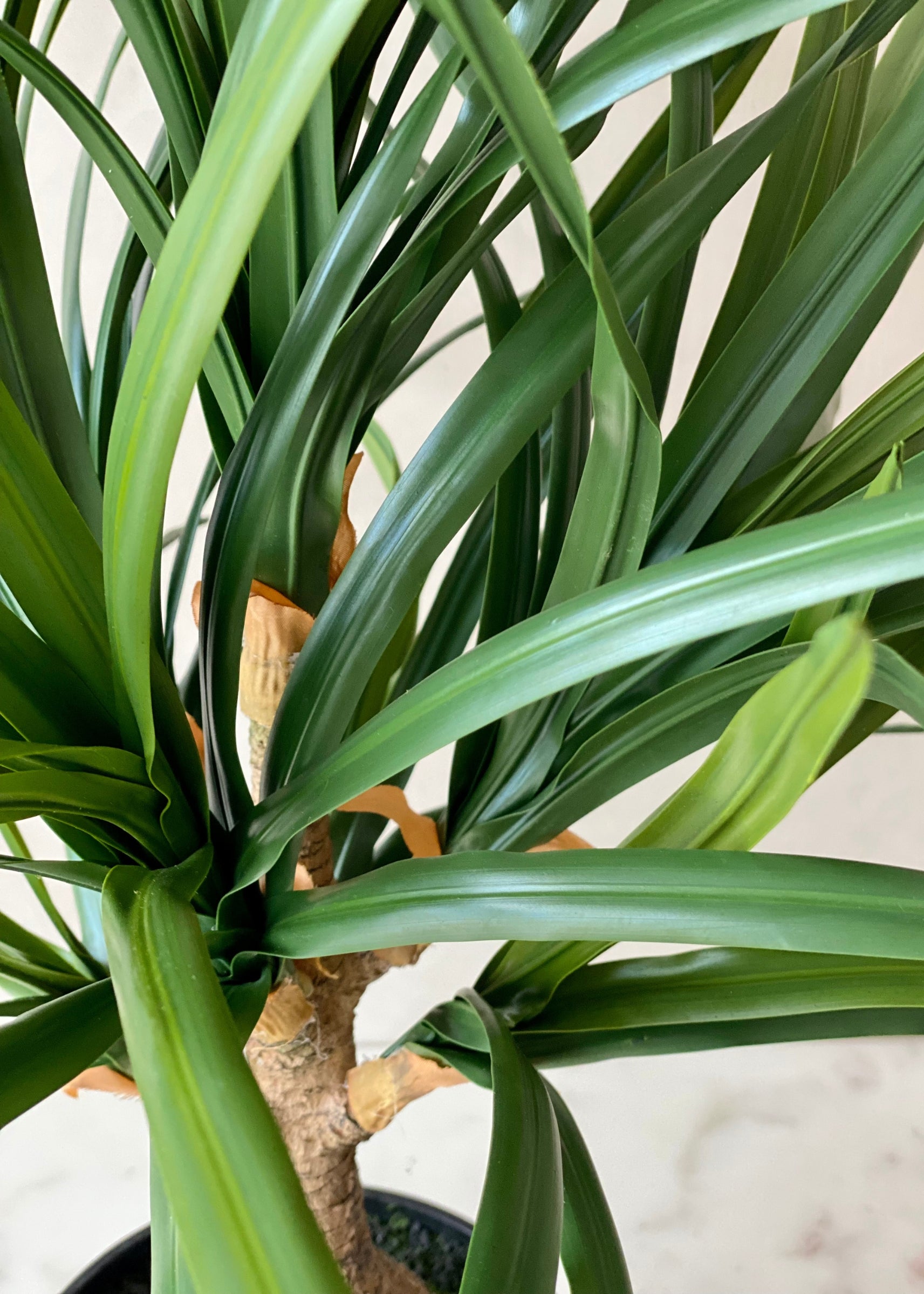 Artificial Yucca Cane Plant