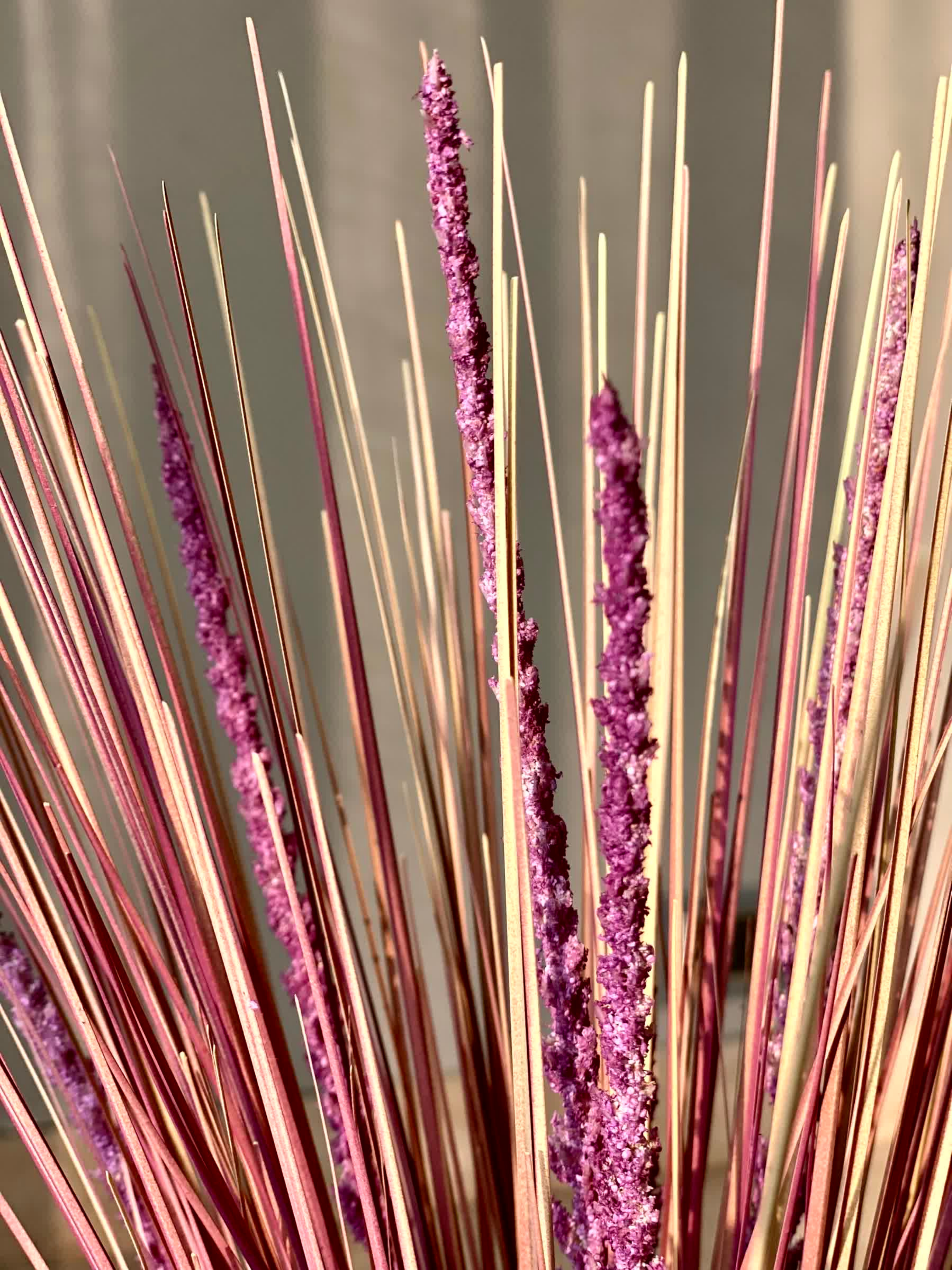 Artificial Purple Pampas Bunch - 3 Feet