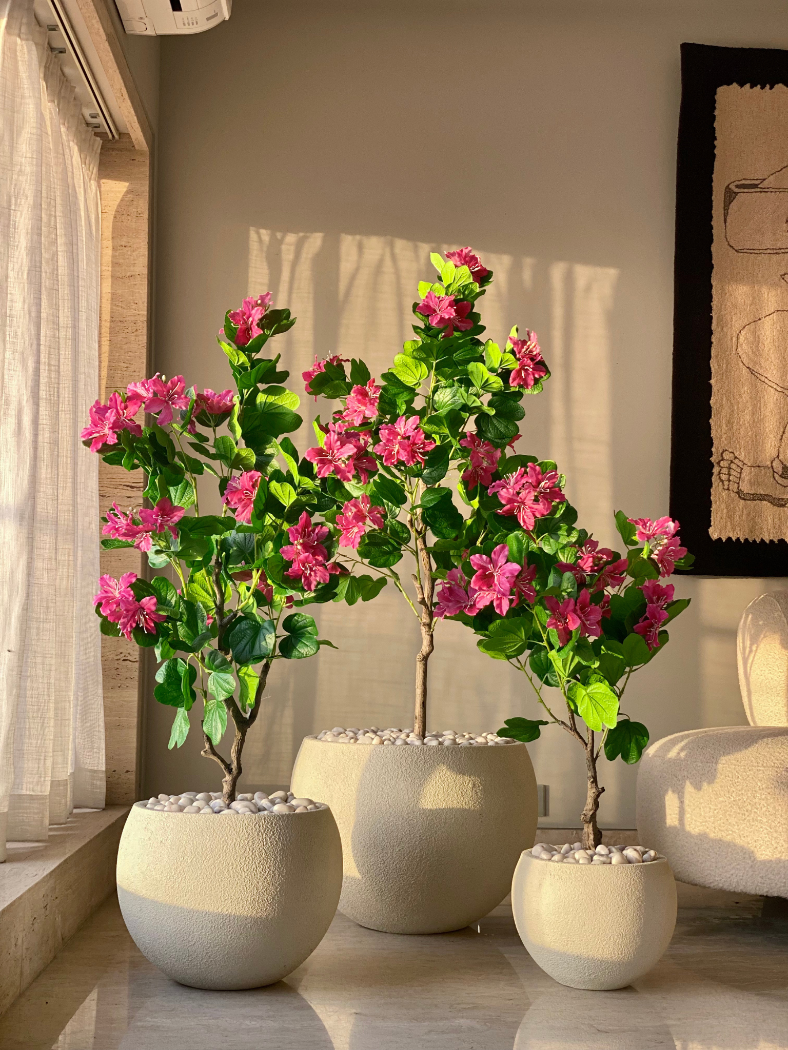 Artificial Blush Bauhinia Plant -  3 Feet