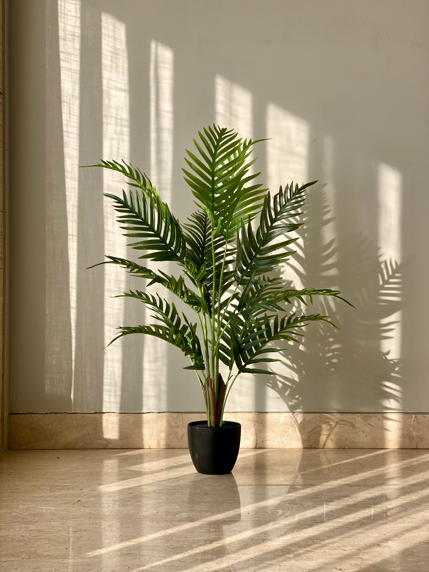 Artificial Palmara Plant - 3 Feet