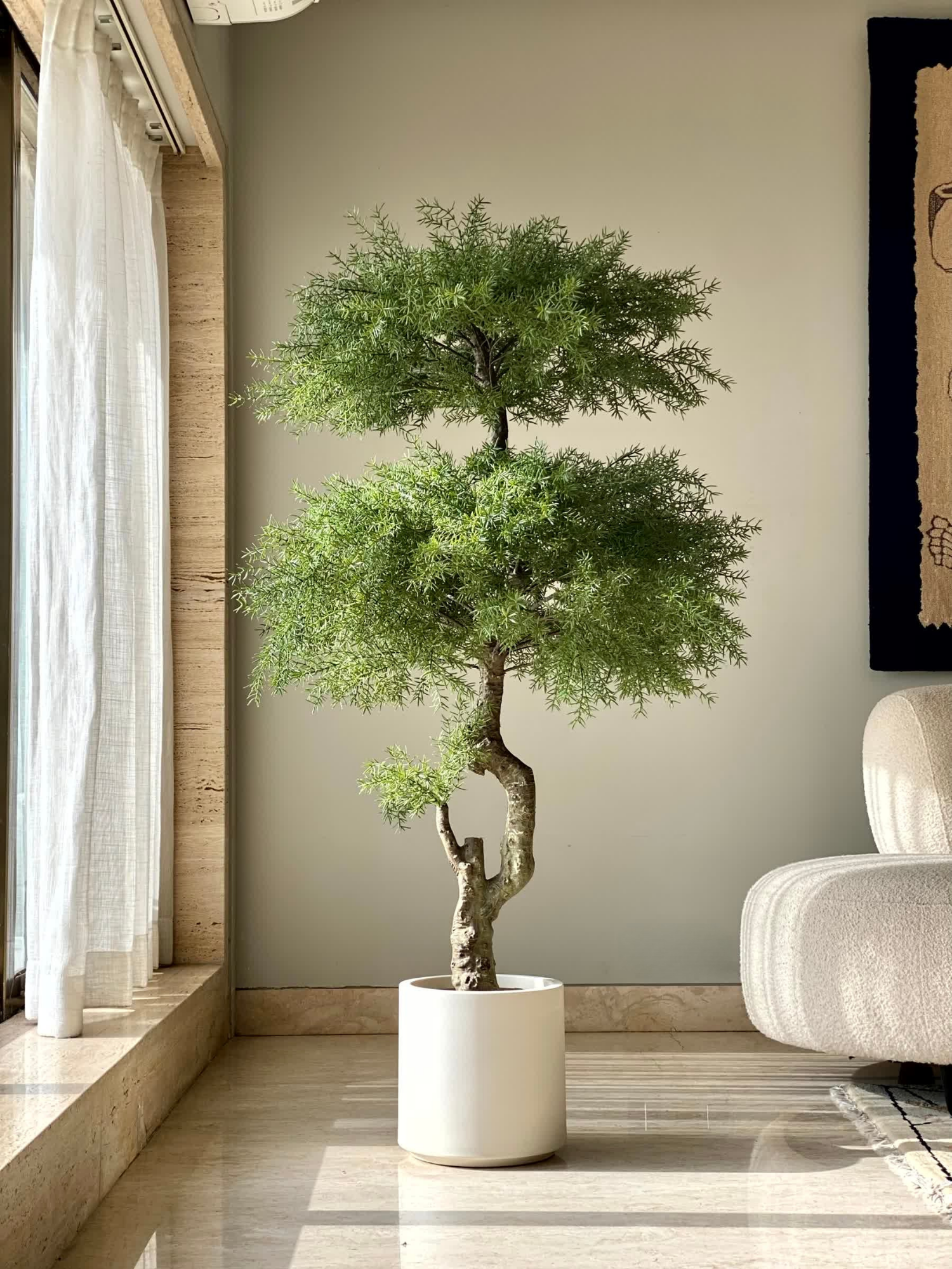 Artificial Australian Cedar Bonsai Plant - 5.5 Feet