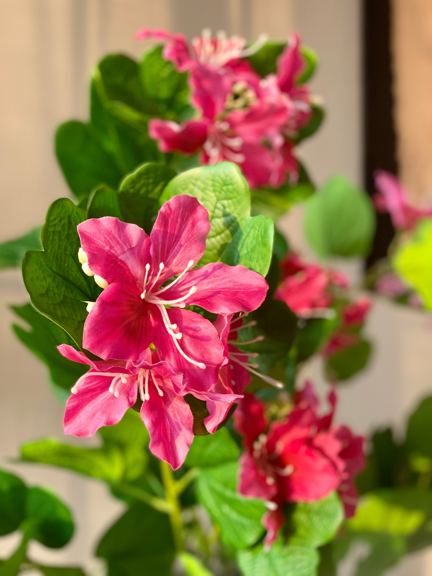 Artificial Blush Bauhinia Plant -  3 Feet