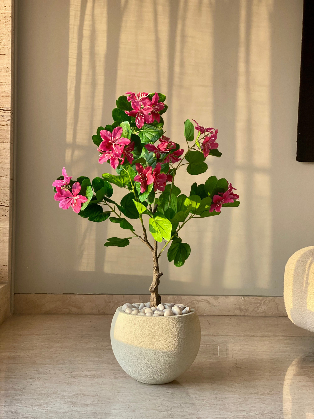 Artificial Blush Bauhinia Plant - 3 Feet