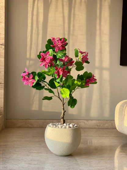 Artificial Blush Bauhinia Plant -  3 Feet