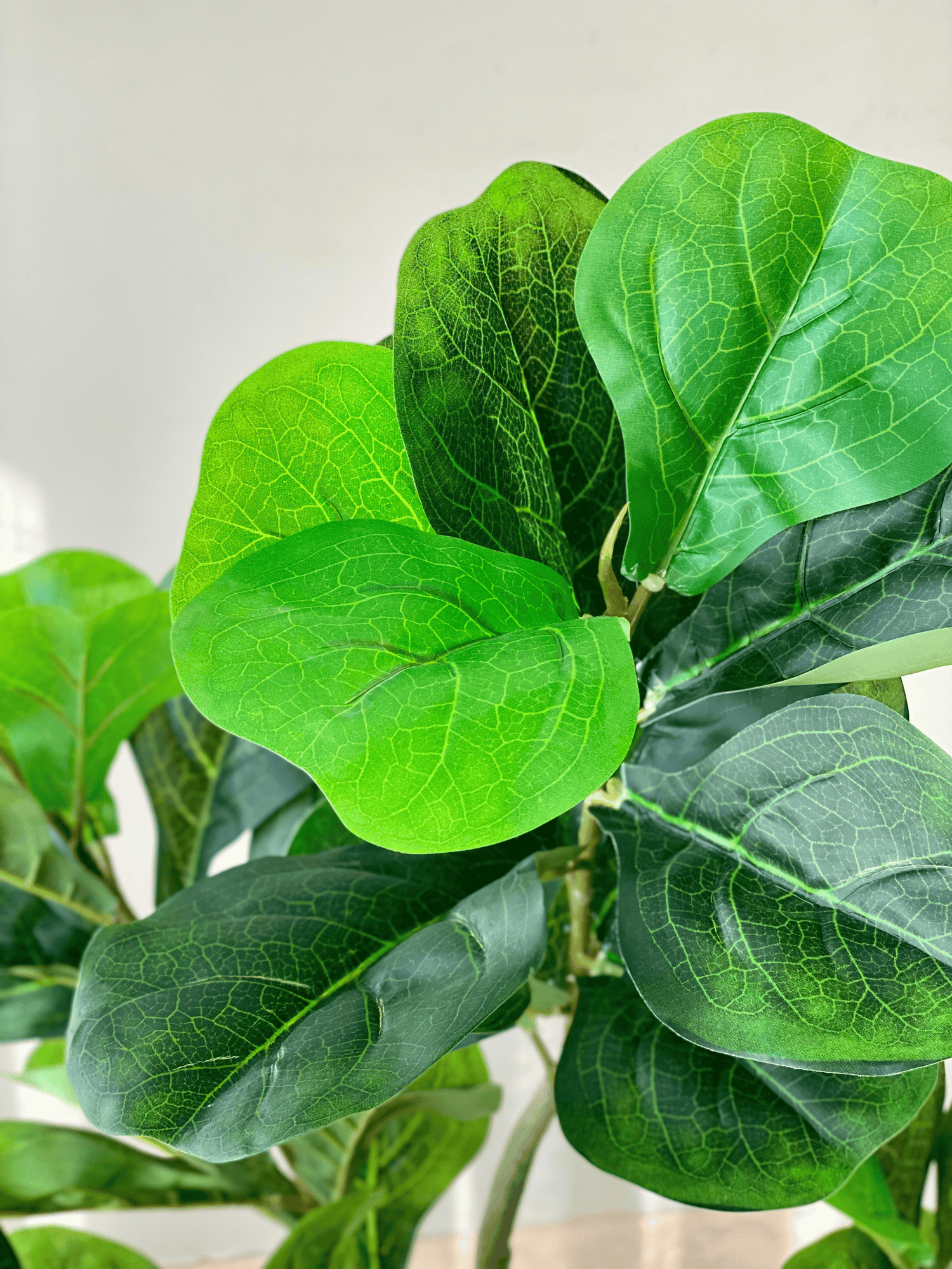 Artificial Serene Fiddle Plant - 4 Feet