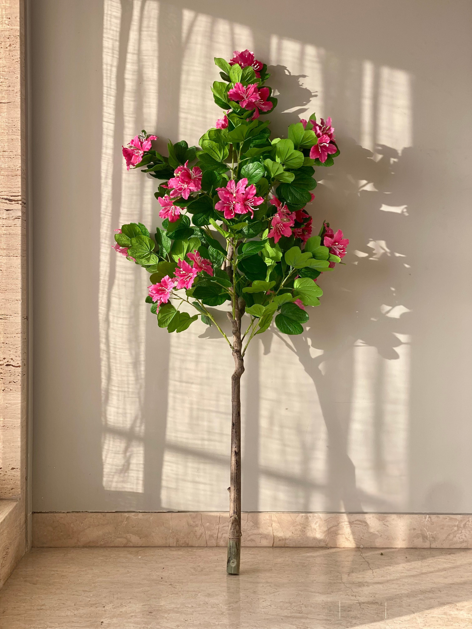 Artificial Blush Bauhinia Plant -  5 Feet