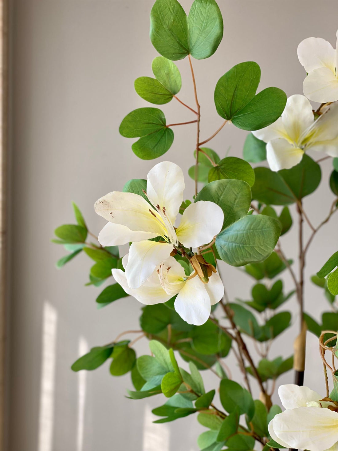 Artificial White Bauhinia Plant - 5 Feet