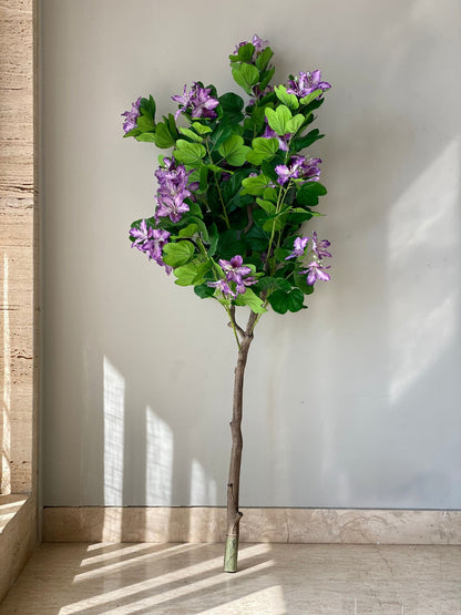 Artificial Lilac Bauhinia Plant -  5 Feet