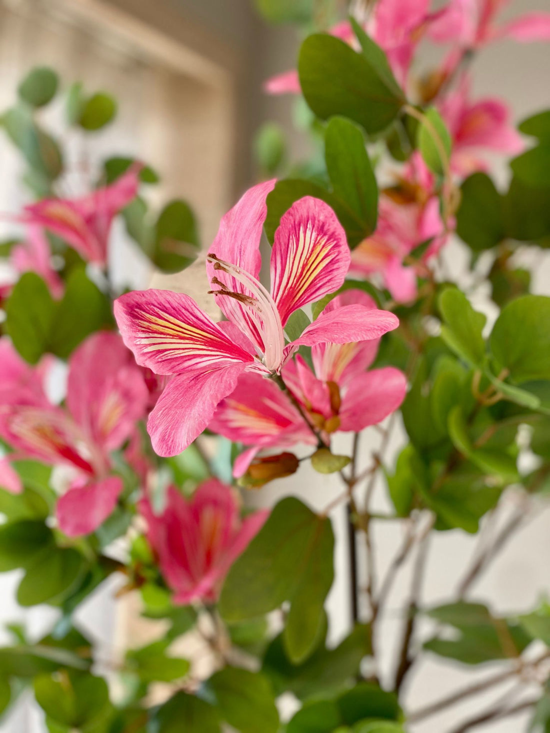 Artificial Pink Bauhinia Plant - 6 Feet