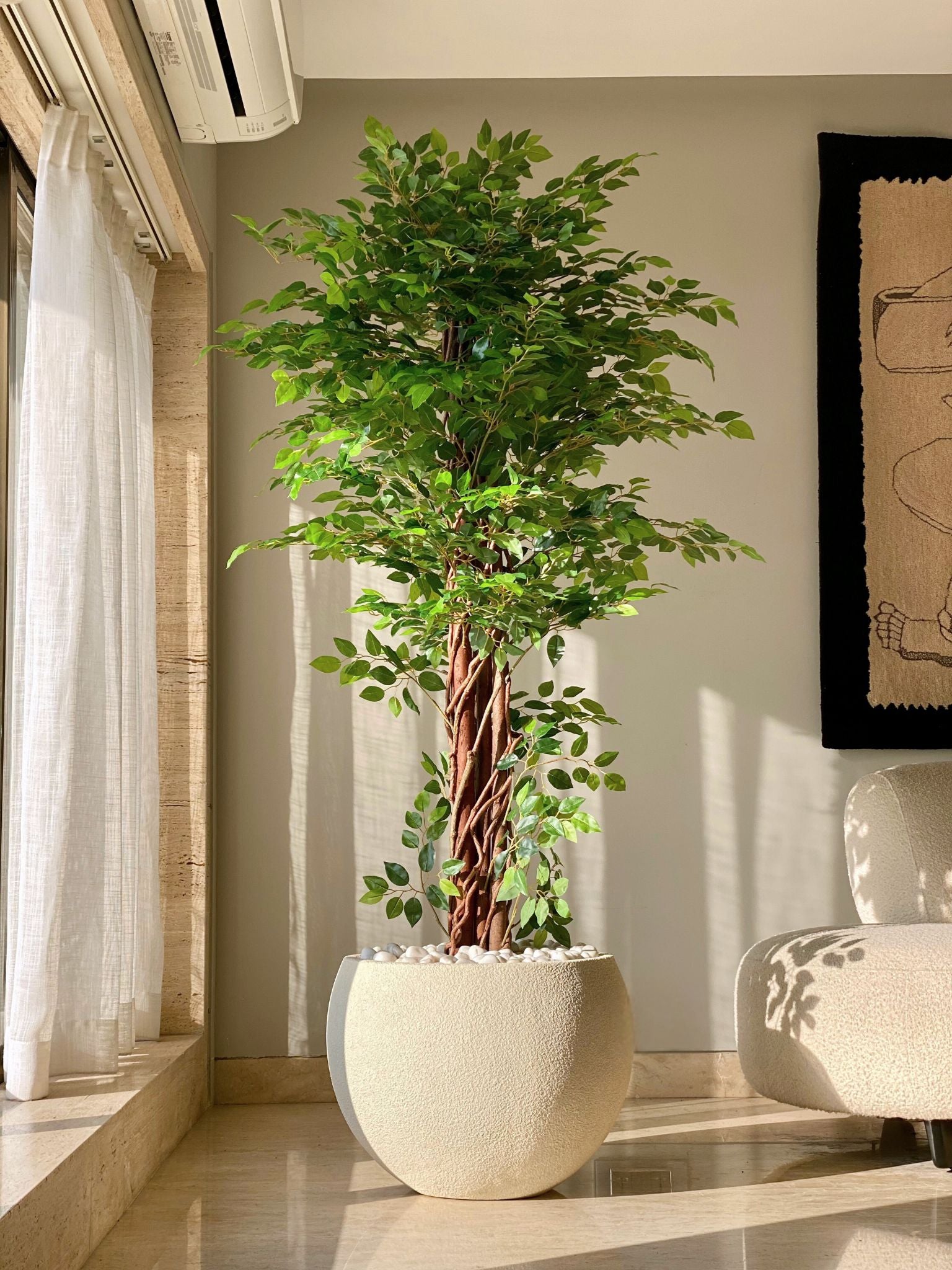 Artificial Ficus Majora Plant -  6 Feet