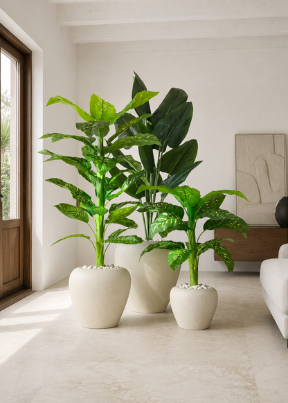 Duch Ivory Planter