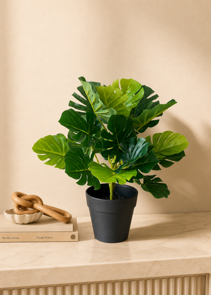 Artificial Bachia Monstera Plant - 1 Feet