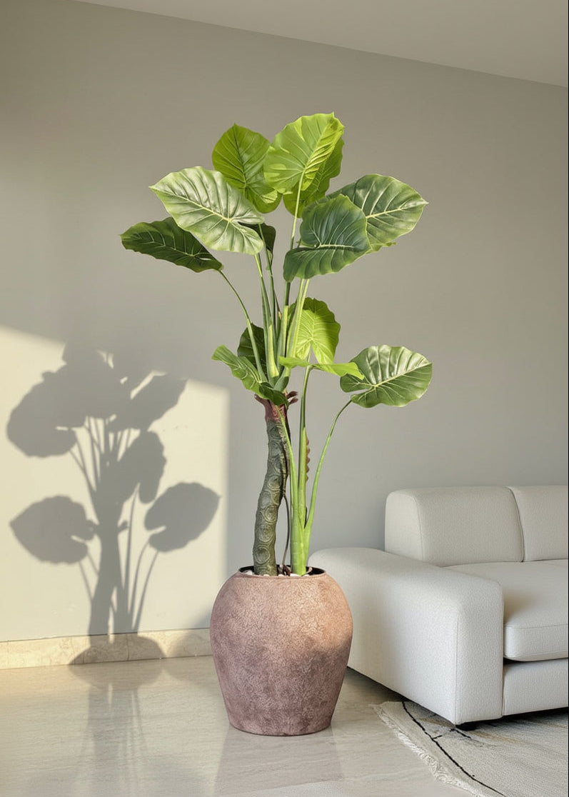 Artificial Evergreen Alocasia Plant - 5 Feet