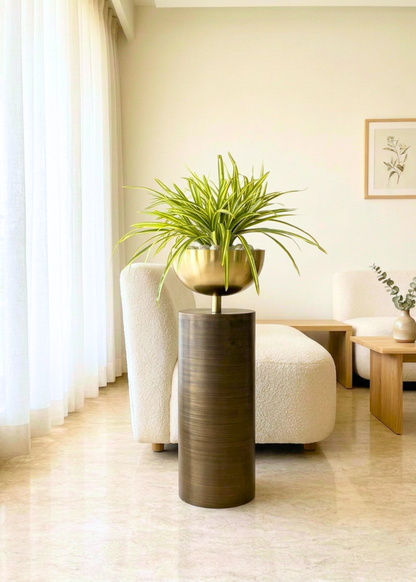 Artificial Yucca Dracenna Bunch Plant - Set of 2