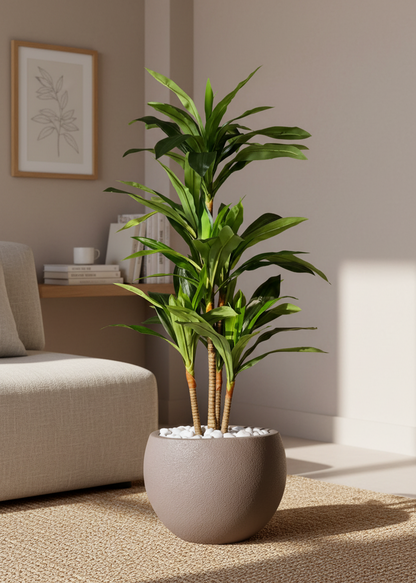 Lithos Planters - Mud Brown