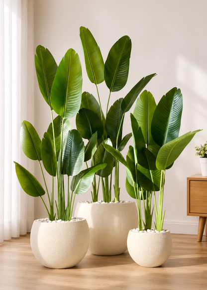 Artificial Cavendish Traveller Plant - 5 Feet