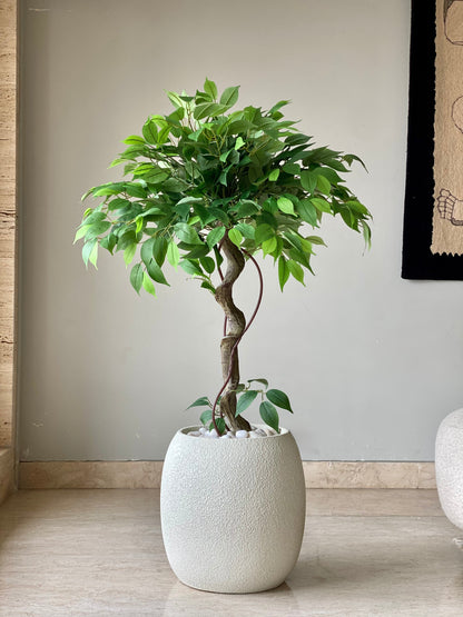 Artificial Banyan Plant - 4 Feet