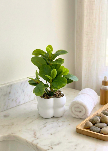 Artificial Peperomia Plant