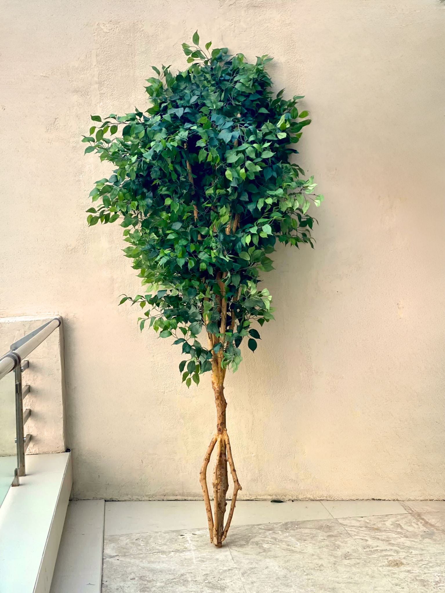 Artificial Ficus Opulence Plant - 9 Feet