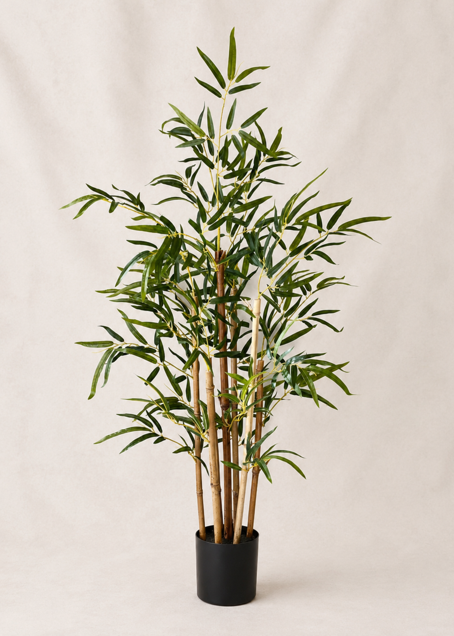 Artificial Statement Bamboo Plant - 3 Feet