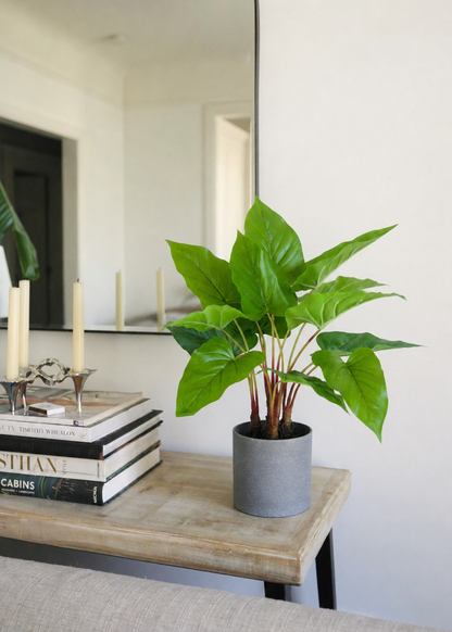 Artificial Green Pothos Plant - 1.5 Feet
