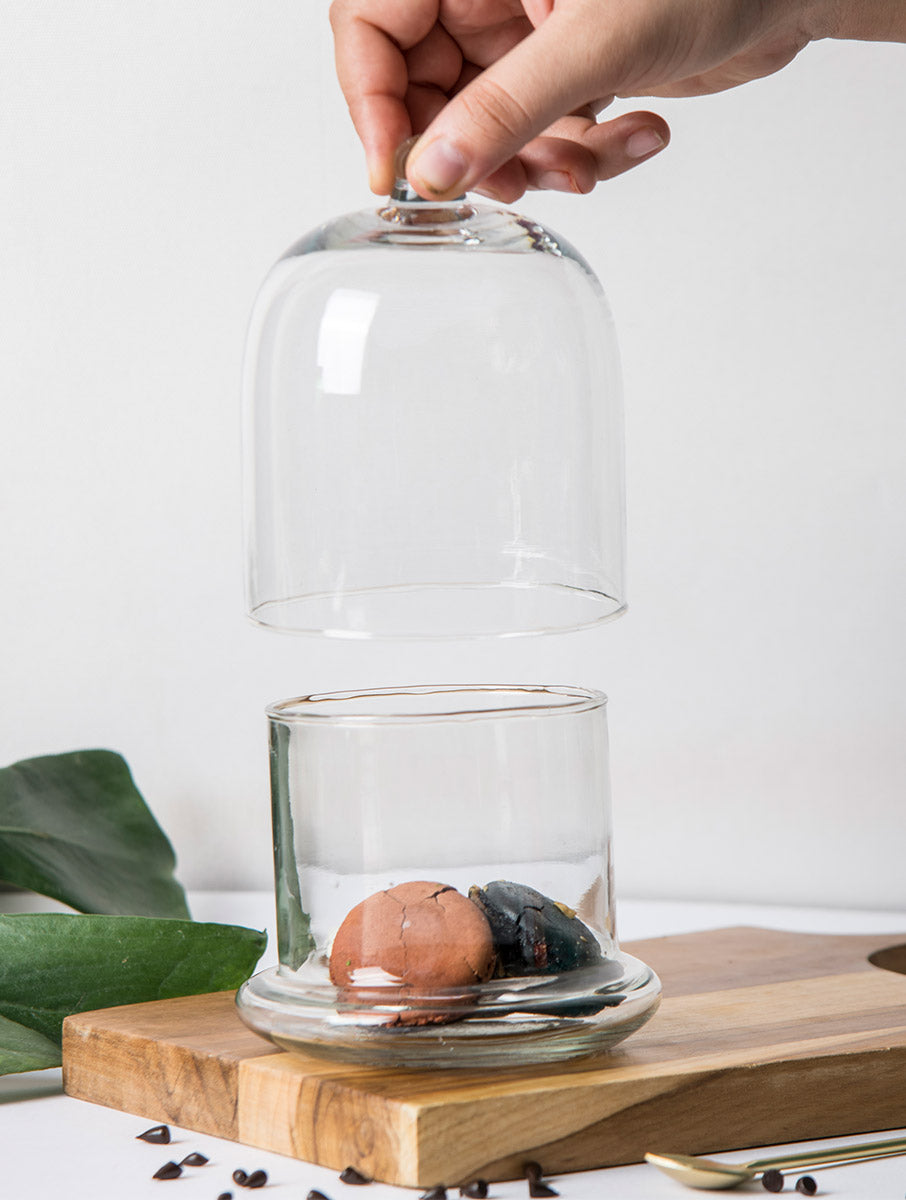 Bell Jar - White (Set of 2)