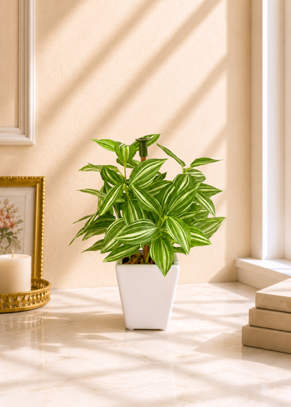 Artificial Variegated Wandering Plant
