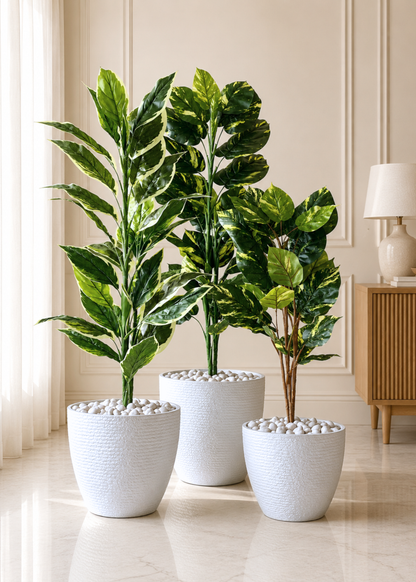 Taper Planters - White
