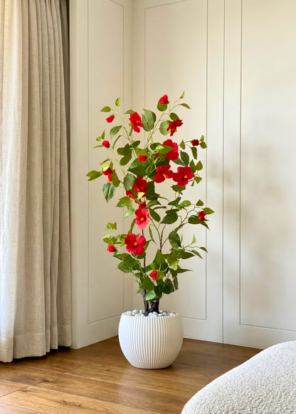 Vellora Planters - White