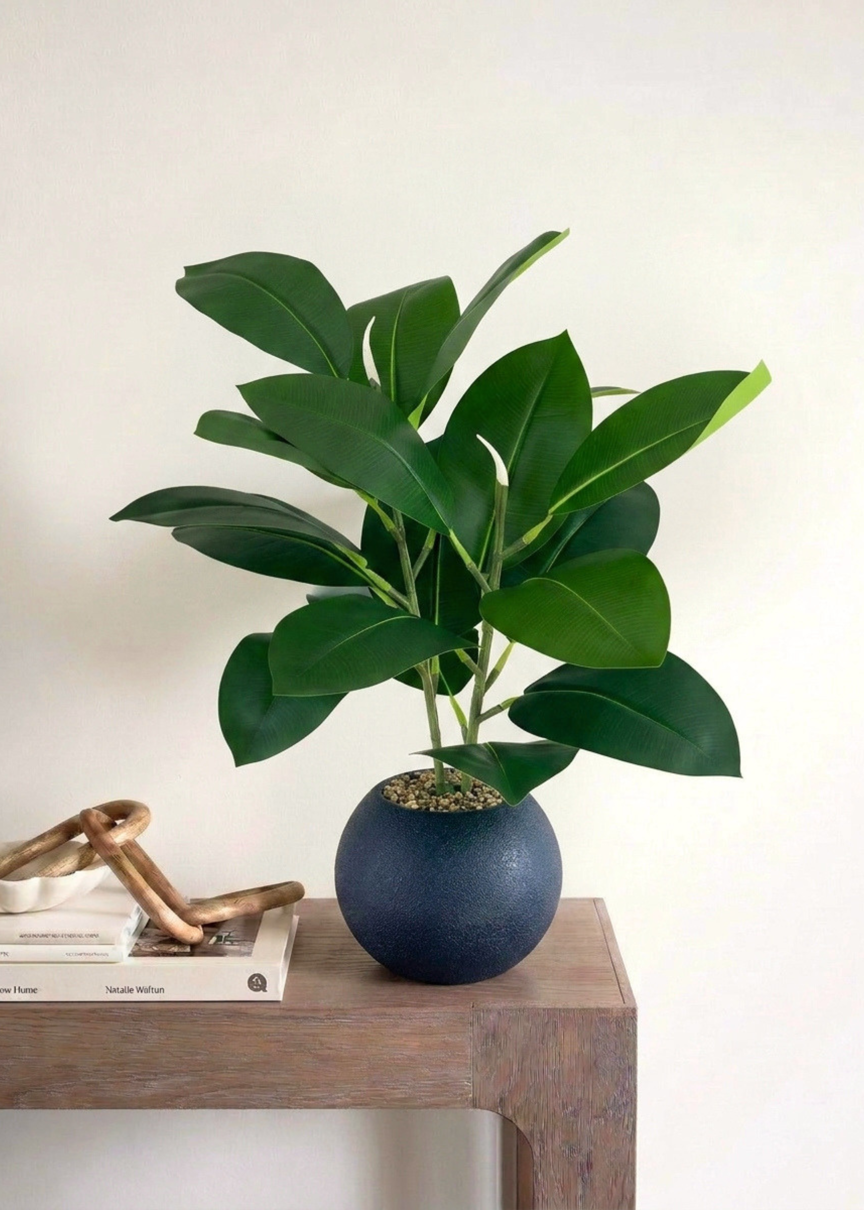 Artificial Rubber Leaf Plant (Black Pot) -  2 Feet