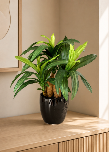 Artificial Dracaena Bonsai Plant - 1 Feet
