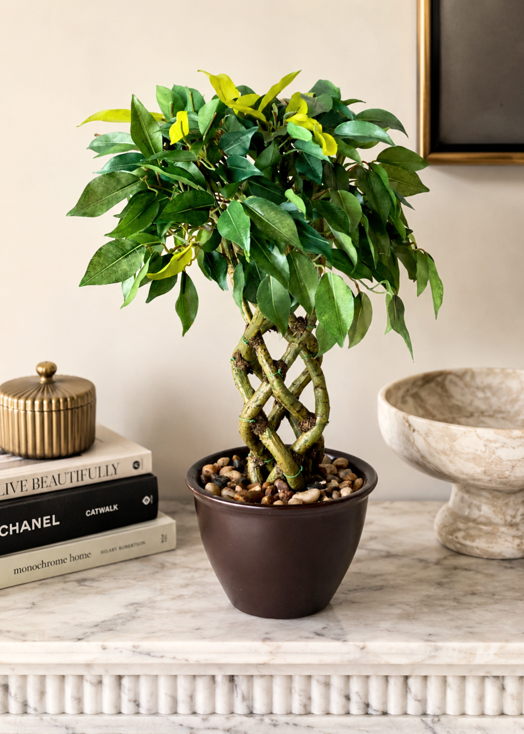 Artificial Ficus Bonsai Plant - 1.3 Feet