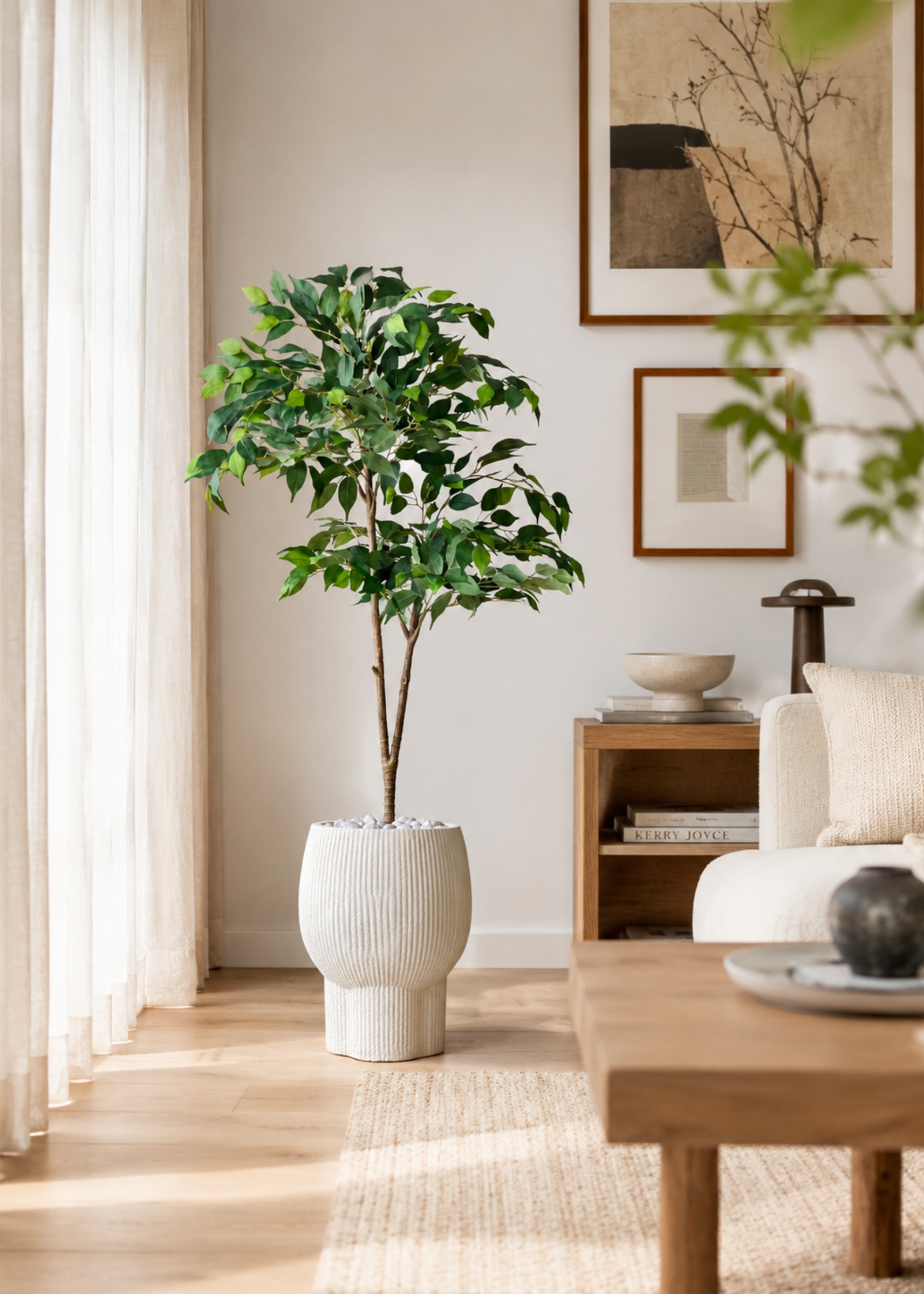 Artificial Ficus Aura Plant - 5 Feet