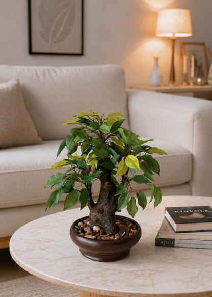 Artificial Ficus Bonsai Plant - 1 Feet