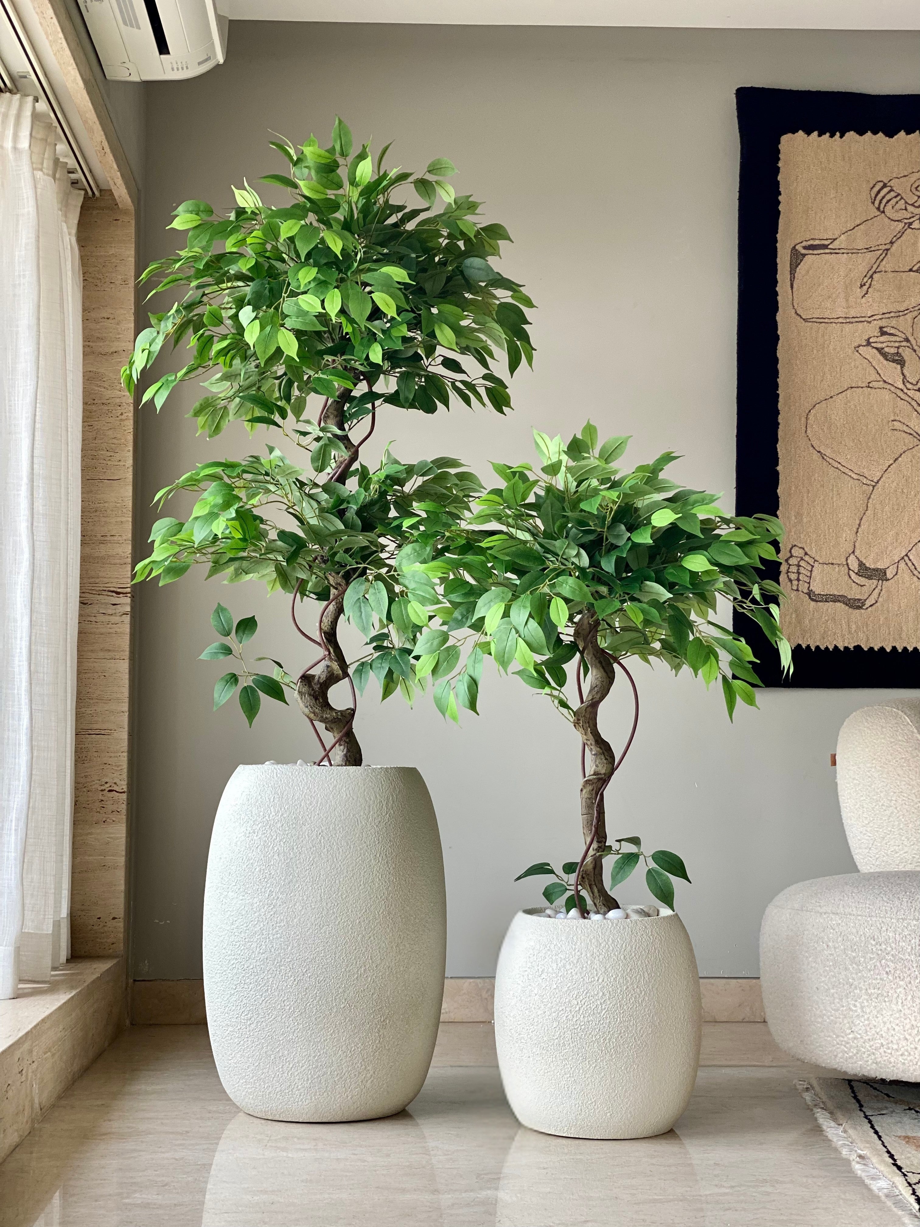 Artificial Banyan Plant - 5 Feet