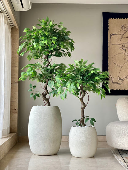 Artificial Banyan Plant - 5 Feet