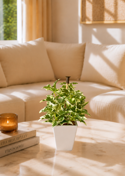 Artificial Variegated Ivy Plant