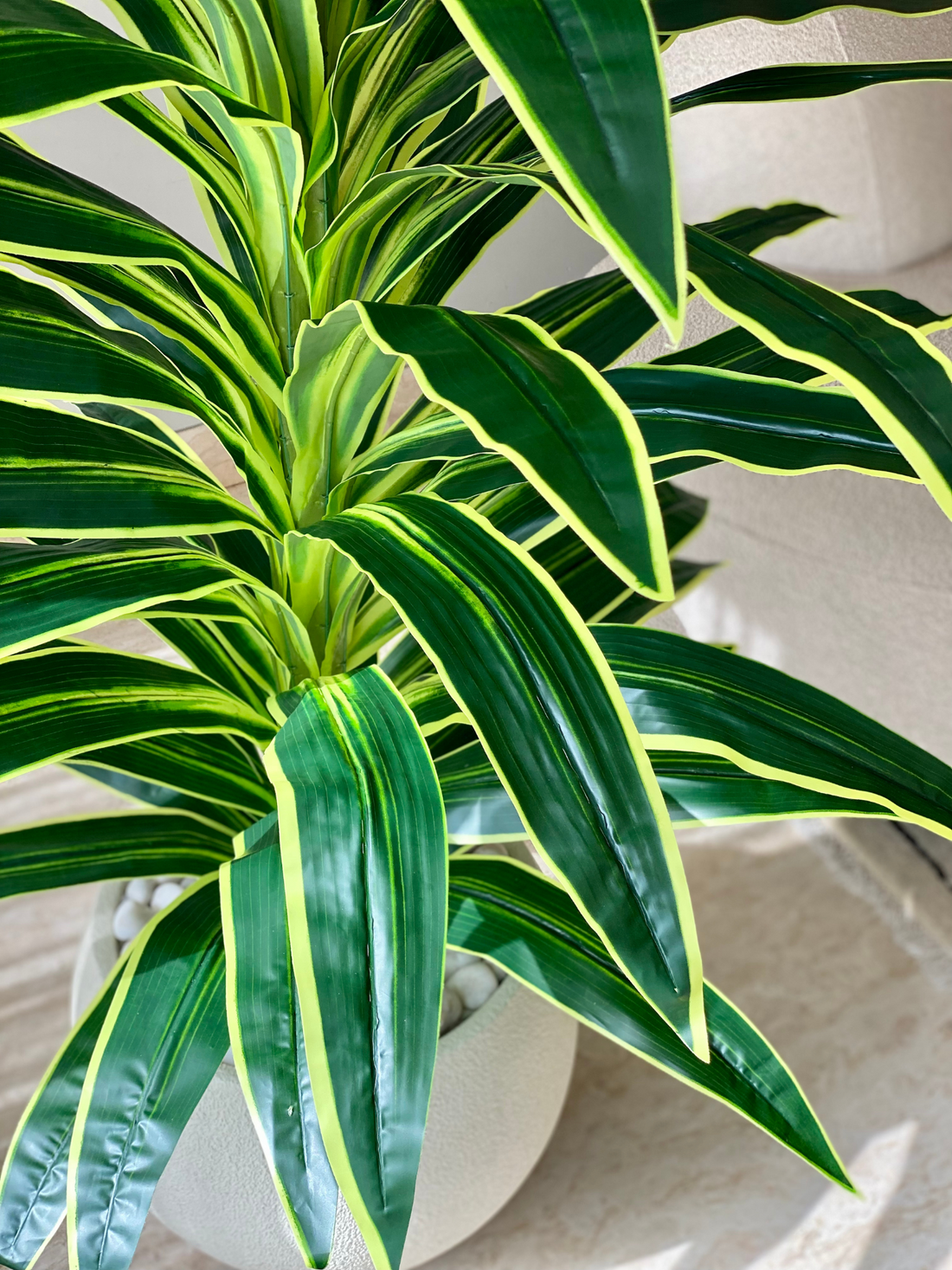 Artificial Variegated Dracaena Plant - 5.5 Feet