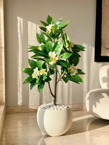 Artificial Frangipani Bloom Plant -  4 Feet